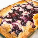 Blackberry Fruit Cobbler in glass 9 X 13 pan