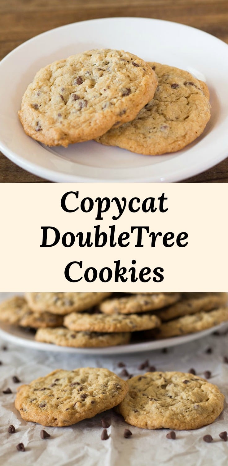 Copycat Doubletree Cookies Pinterest Pin