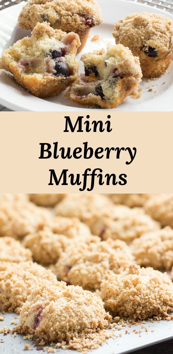 Mini Blueberry Muffins with Streusel Topping are perfect for quick breakfasts, snacks, and packing into lunches. Make some today and see if they don't become a favorite in your house!