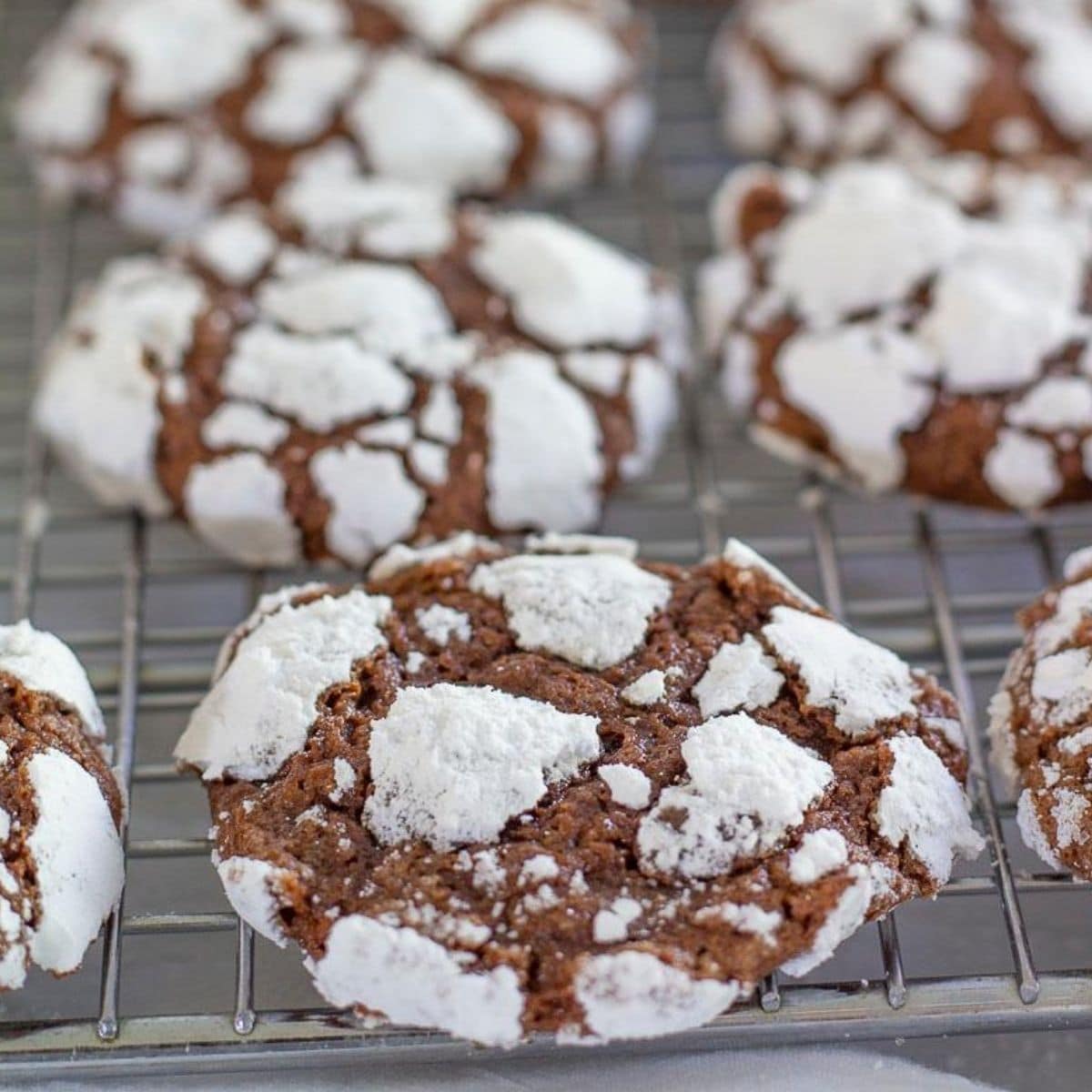 Chocolate Crinkle Cookies