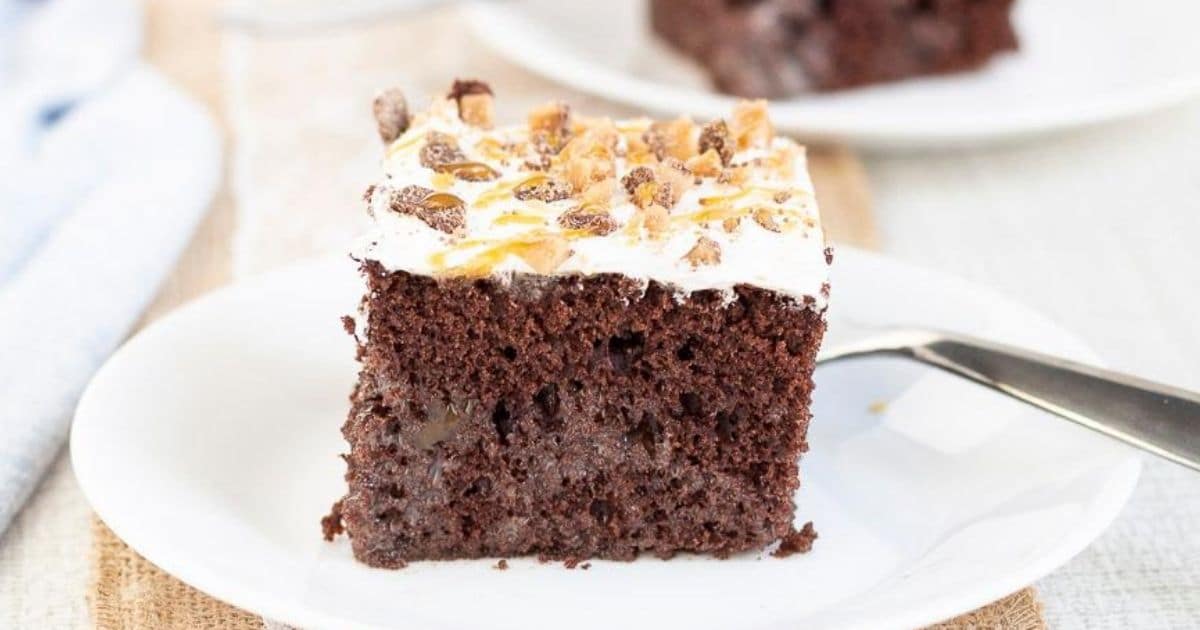 Better Than Sex Cake Recipe - Pear Tree Kitchen