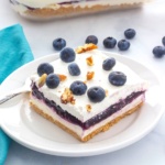 Slice of blueberry delight on a plate