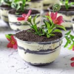 Layers of crushed oreos and pudding in cups topped with flowers