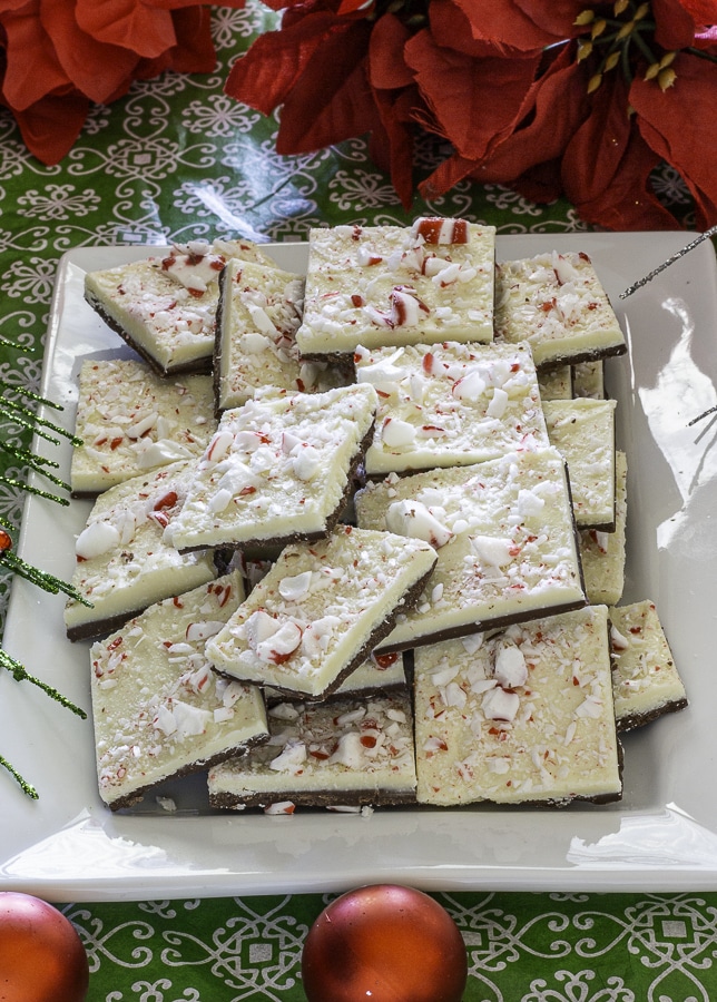 Chocolate bark topped with crushed candy canes