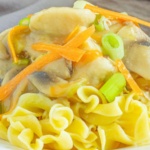 Chicken mushrooms green onions and carrots on noodles