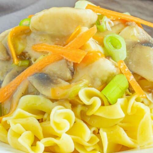 Chicken mushrooms green onions and carrots on noodles