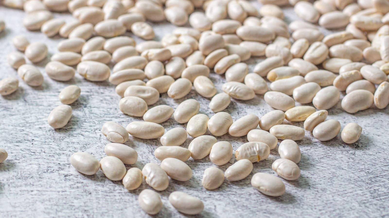 Dried northern beans
