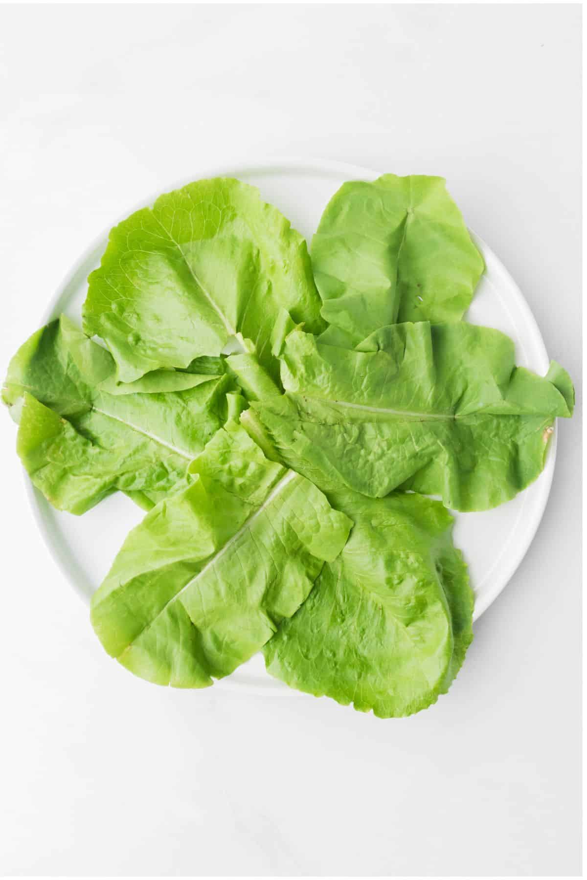 Lettuce on a plate