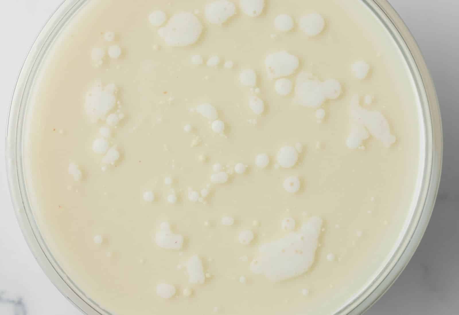 Yeast bubbling in liquid